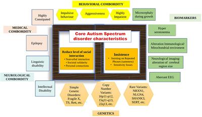 Saliva based diagnostic methodologies for a fast track detection of autism spectrum disorder: A mini-review